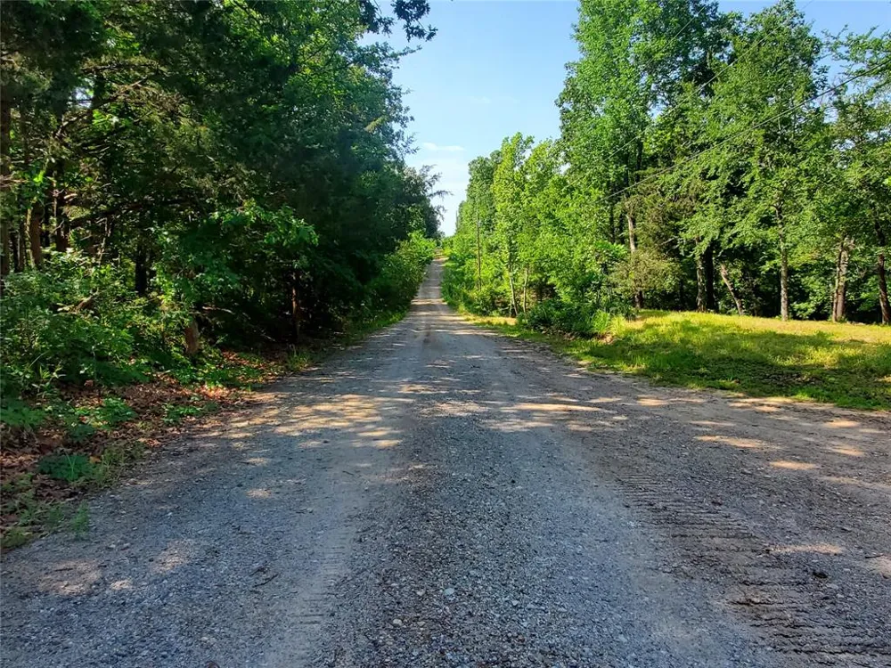 456 PR 41 Honey Grove, TX 75446