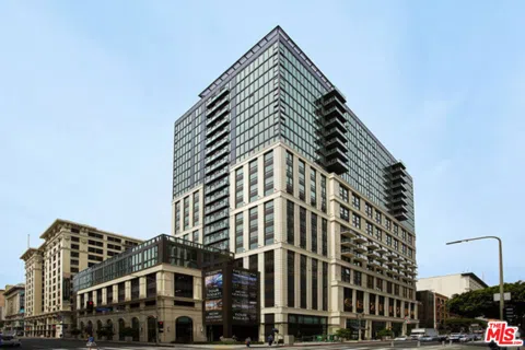 732 S Spring Street #2007