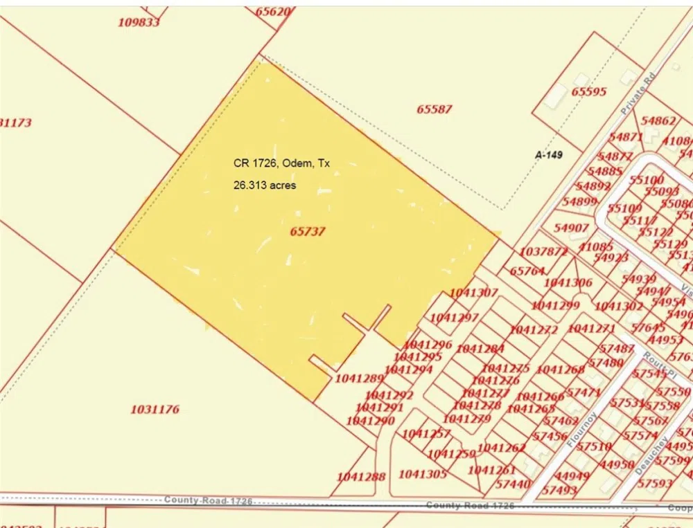 County Road 1726 Odem, TX 78370