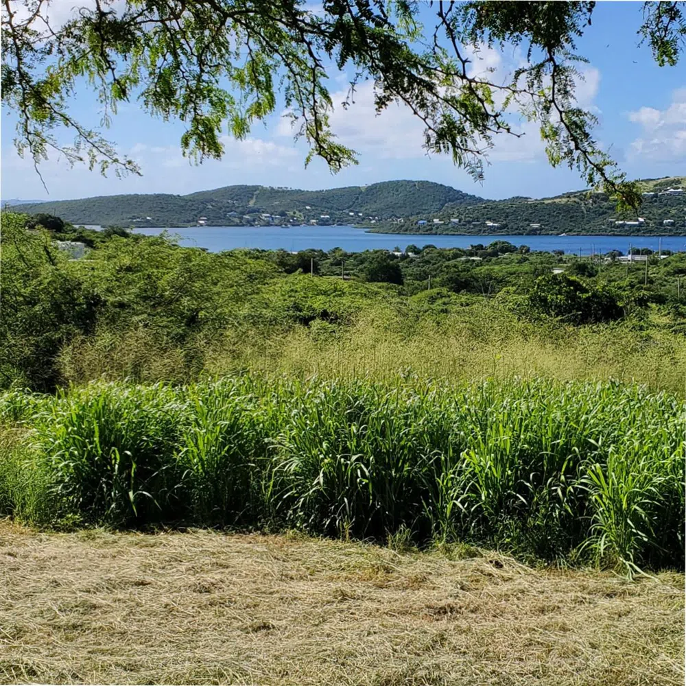 3 BARRIO FLAMENCO Culebra, PR 00775