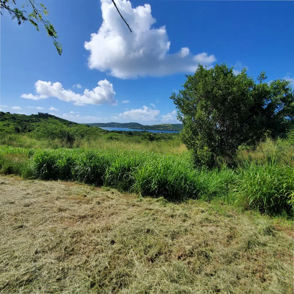 3 BARRIO FLAMENCO Culebra, PR 00775