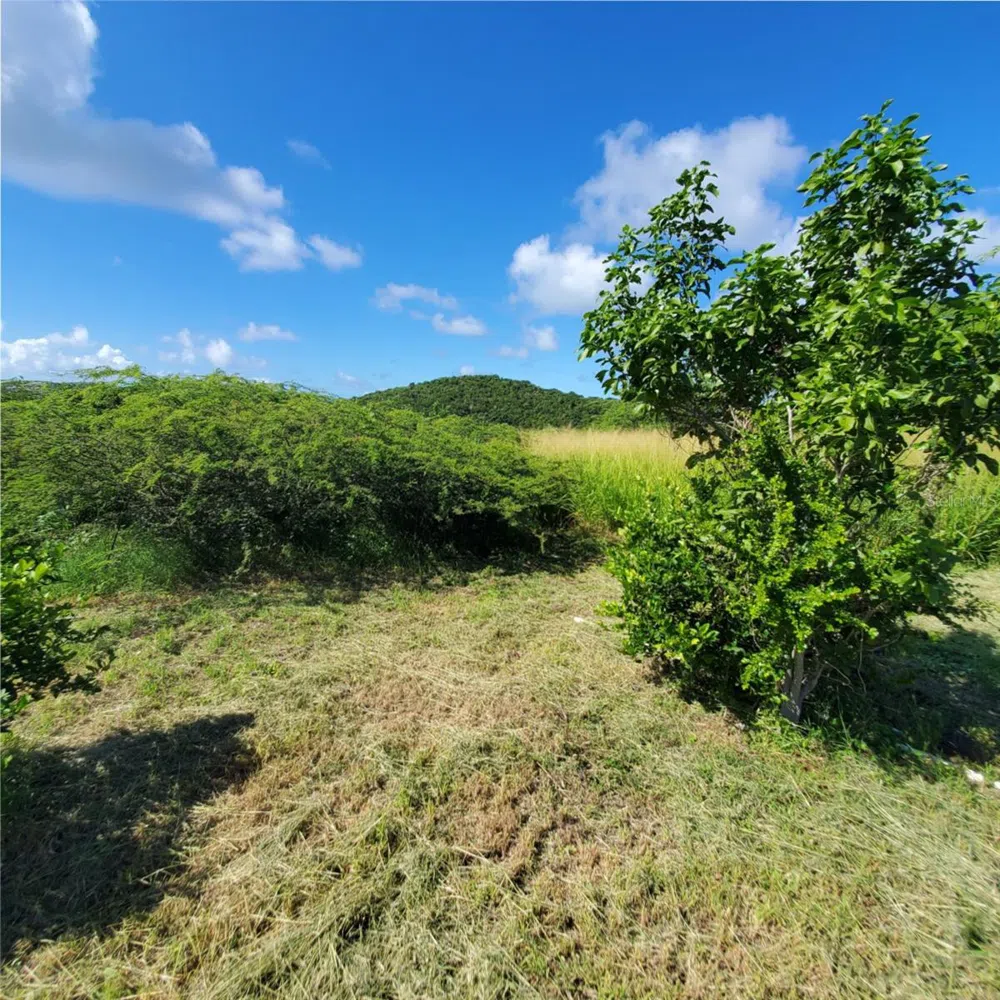 3 BARRIO FLAMENCO Culebra, PR 00775