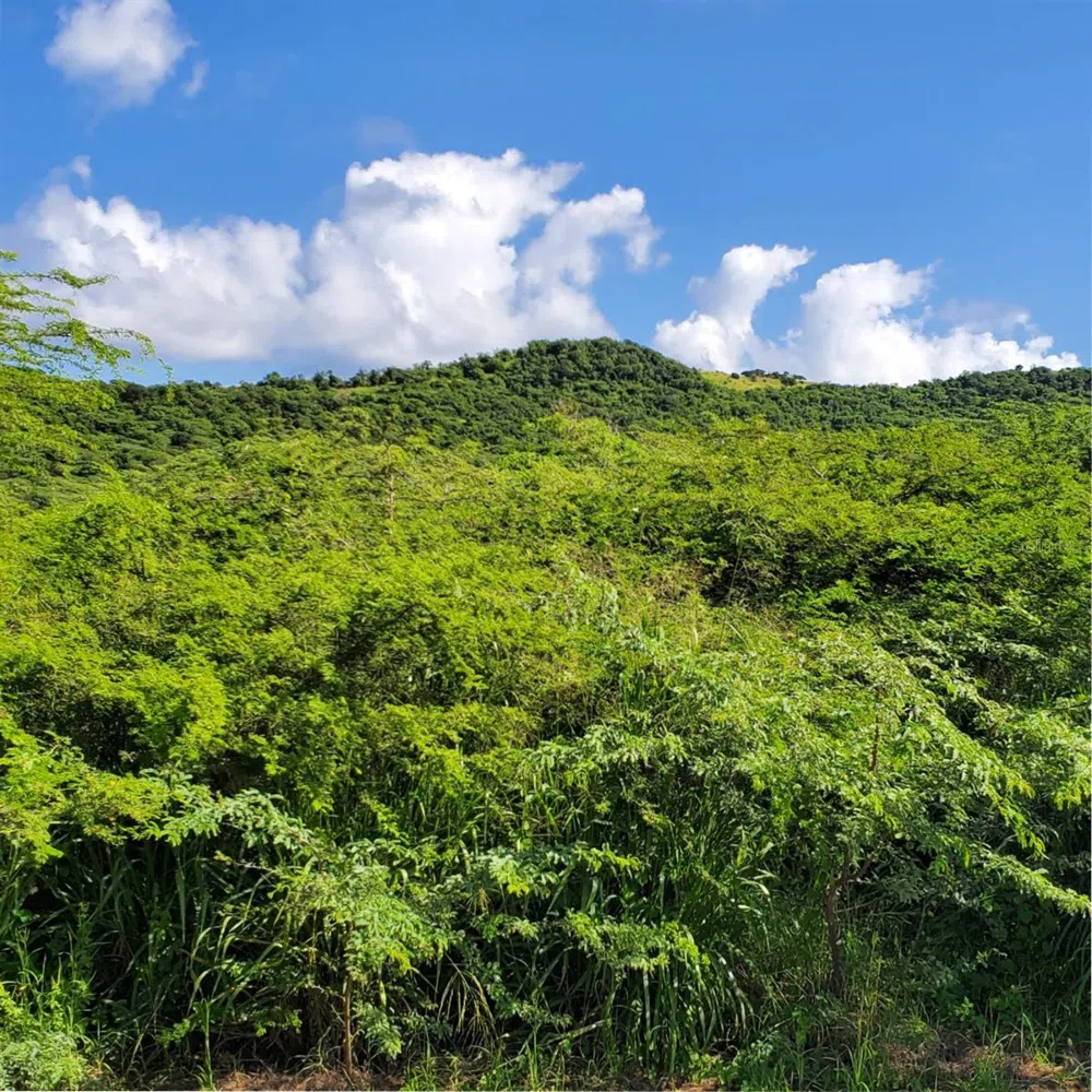 3 BARRIO FLAMENCO Culebra, PR 00775