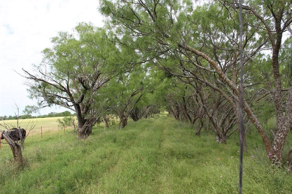 9999 County Road 334 Blanket, TX 76432