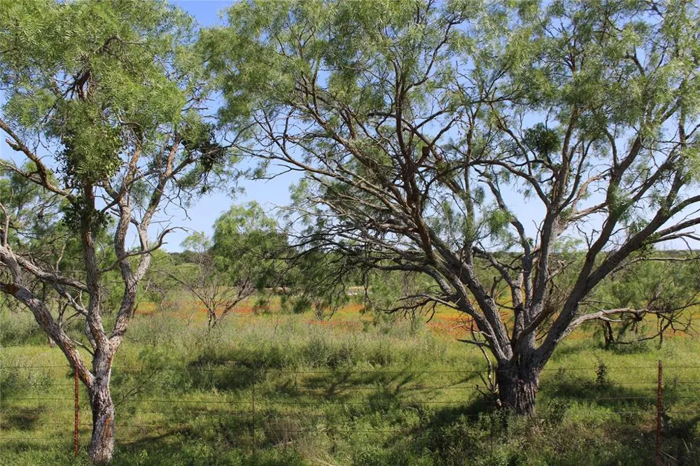 9999 County Road 334 Blanket, TX 76432