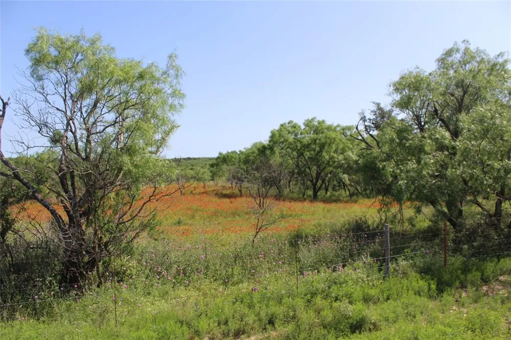9999 County Road 334 Blanket, TX 76432