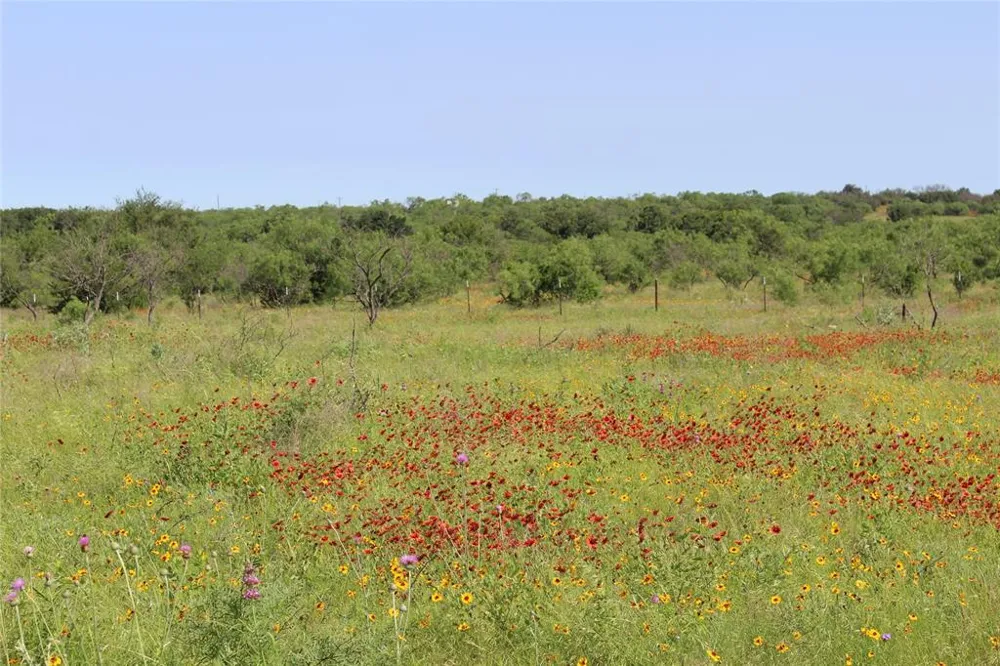 9999 County Road 334 Blanket, TX 76432
