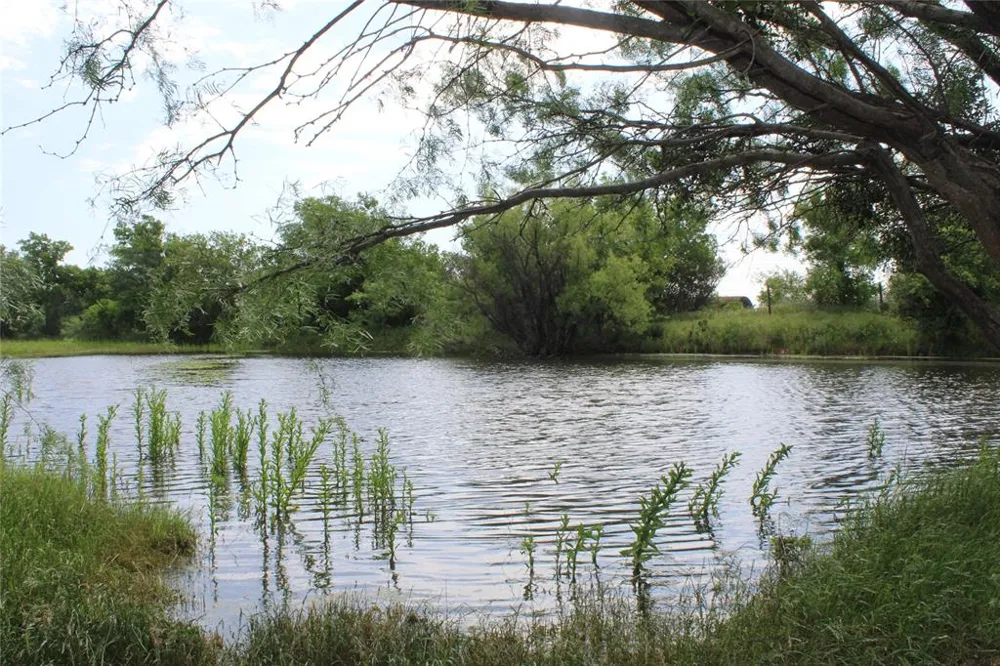 9999 County Road 334 Blanket, TX 76432