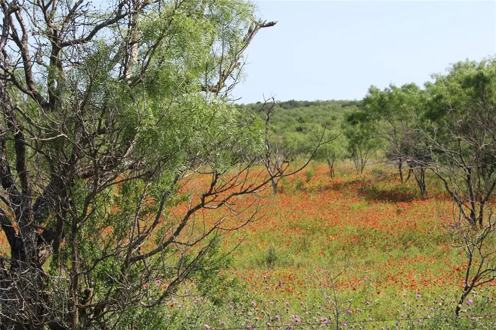 9999 County Road 334 Blanket, TX 76432