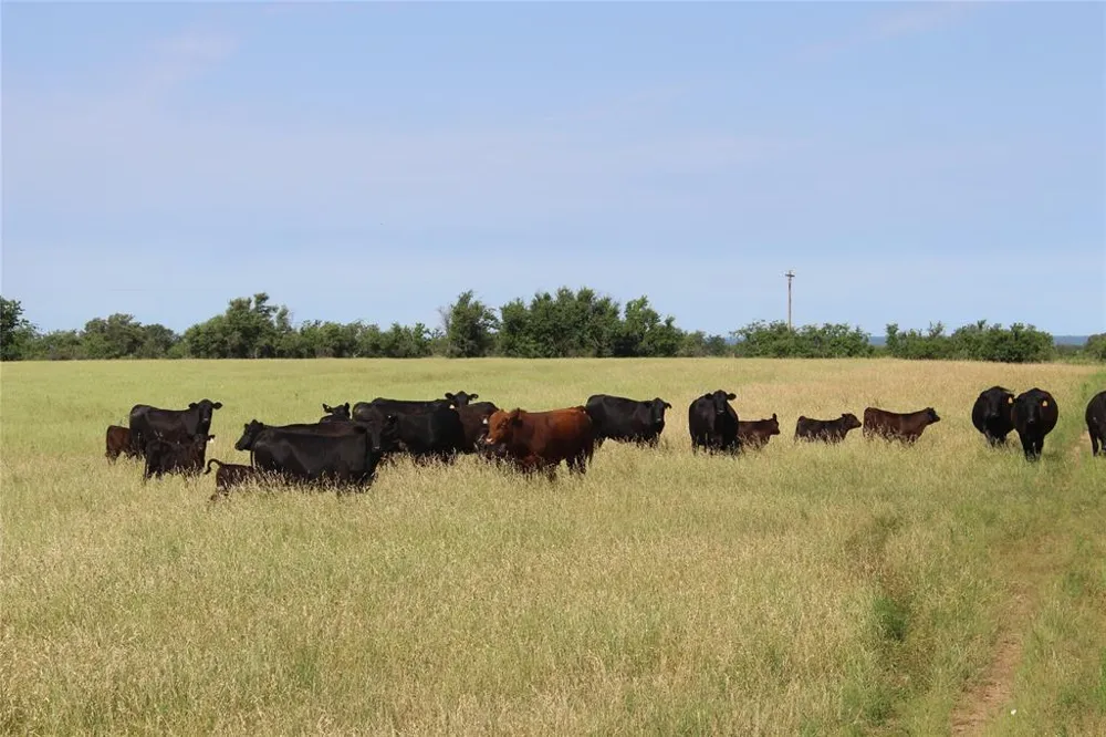9999 County Road 334 Blanket, TX 76432