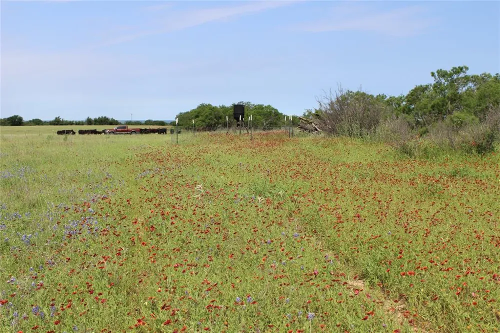 9999 County Road 334 Blanket, TX 76432
