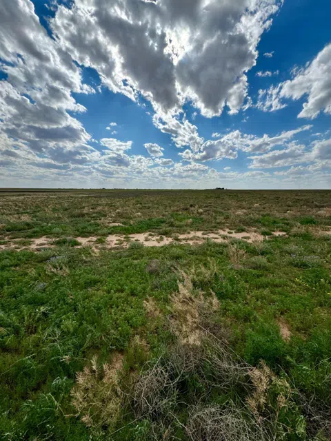 21308 County Road 2040
