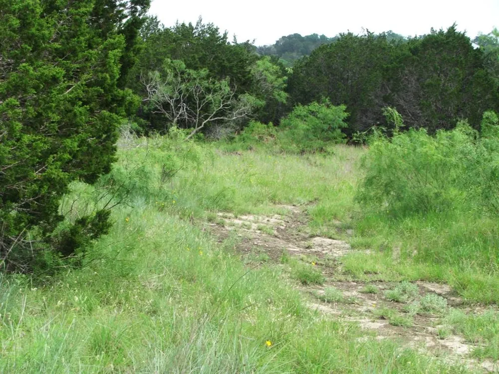 PR 42107 Evant, TX 76525