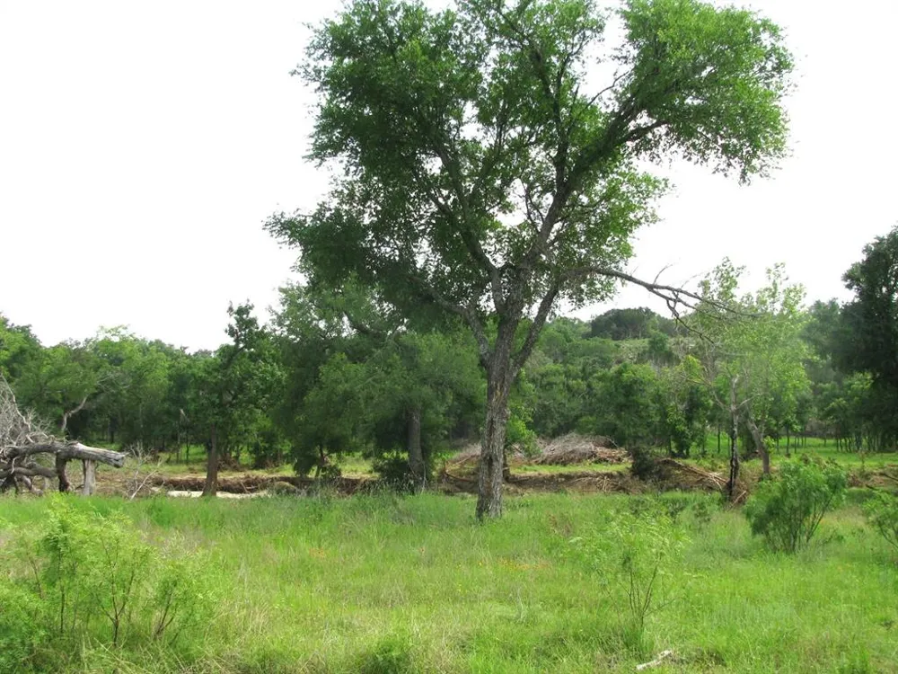 PR 42107 Evant, TX 76525