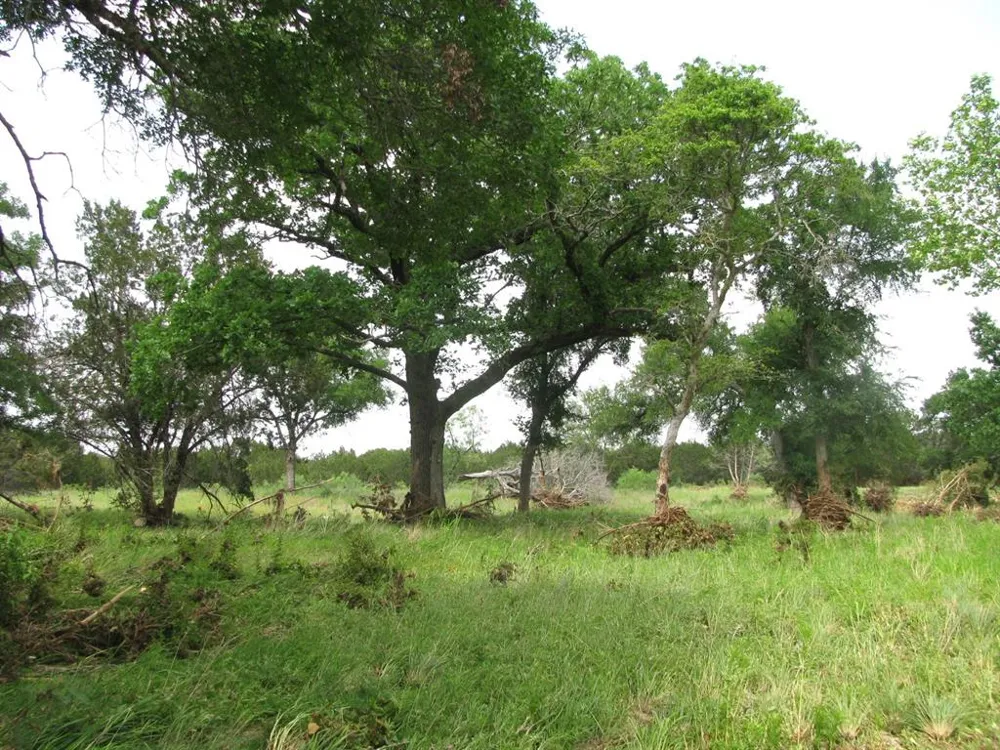PR 42107 Evant, TX 76525