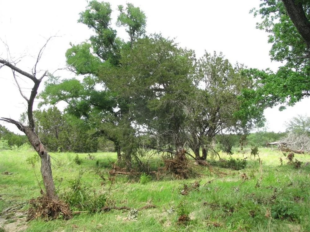 PR 42107 Evant, TX 76525