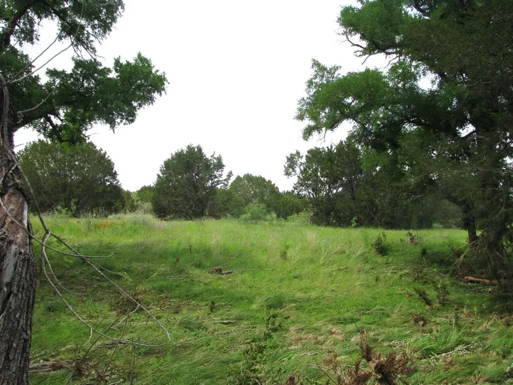 PR 42107 Evant, TX 76525