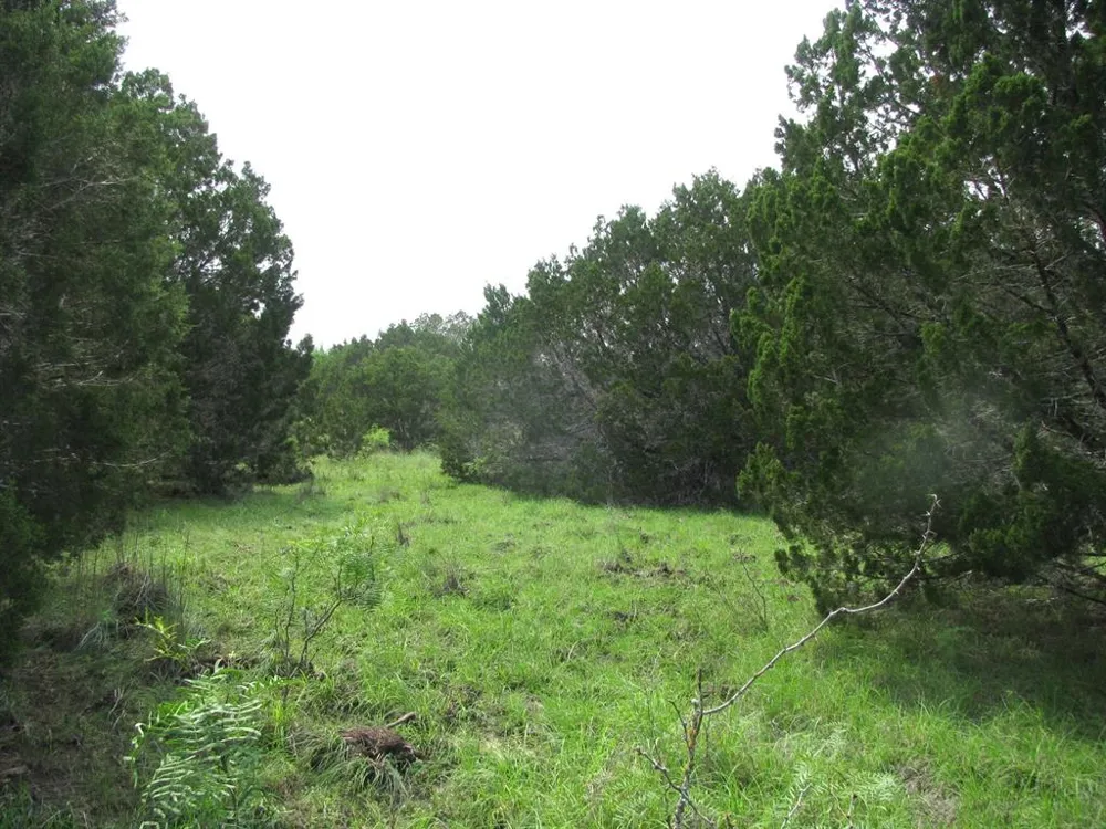 PR 42107 Evant, TX 76525