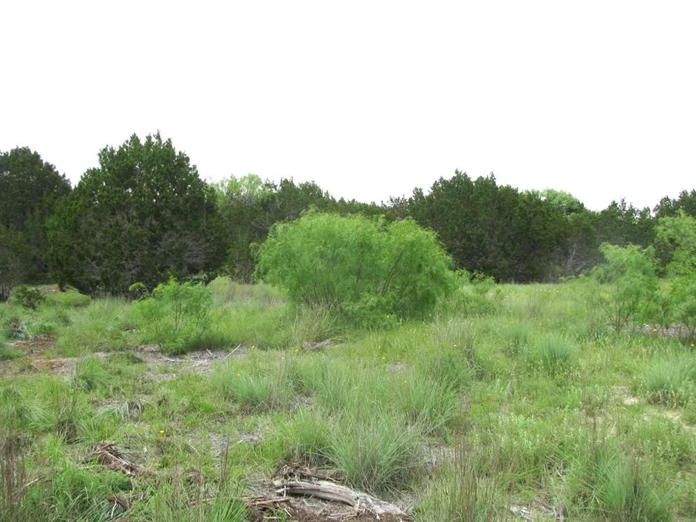 PR 42107 Evant, TX 76525