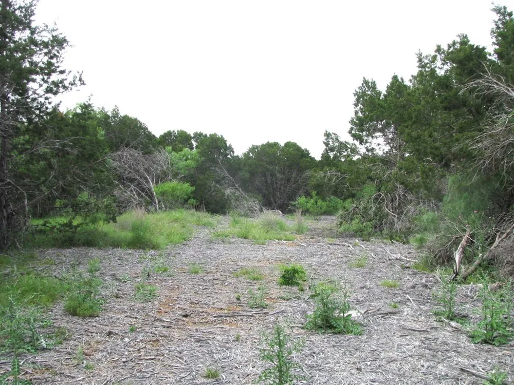 PR 42107 Evant, TX 76525