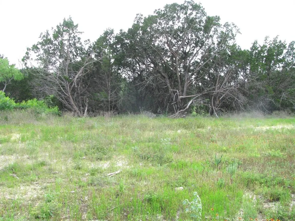 PR 42107 Evant, TX 76525