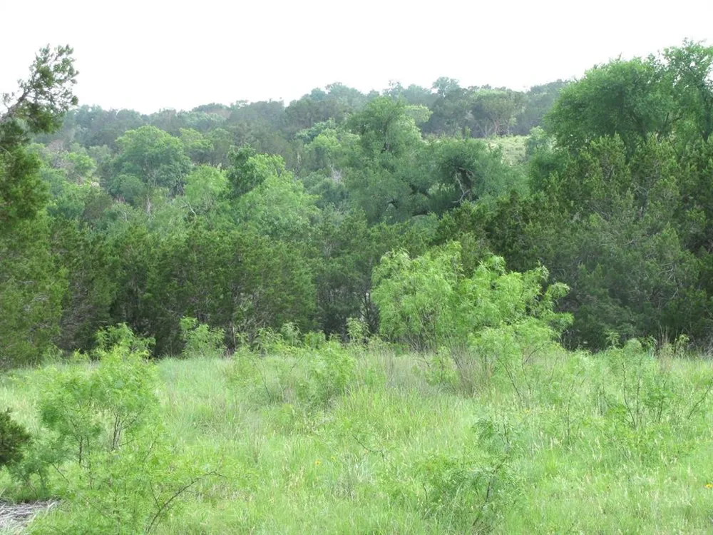 PR 42107 Evant, TX 76525
