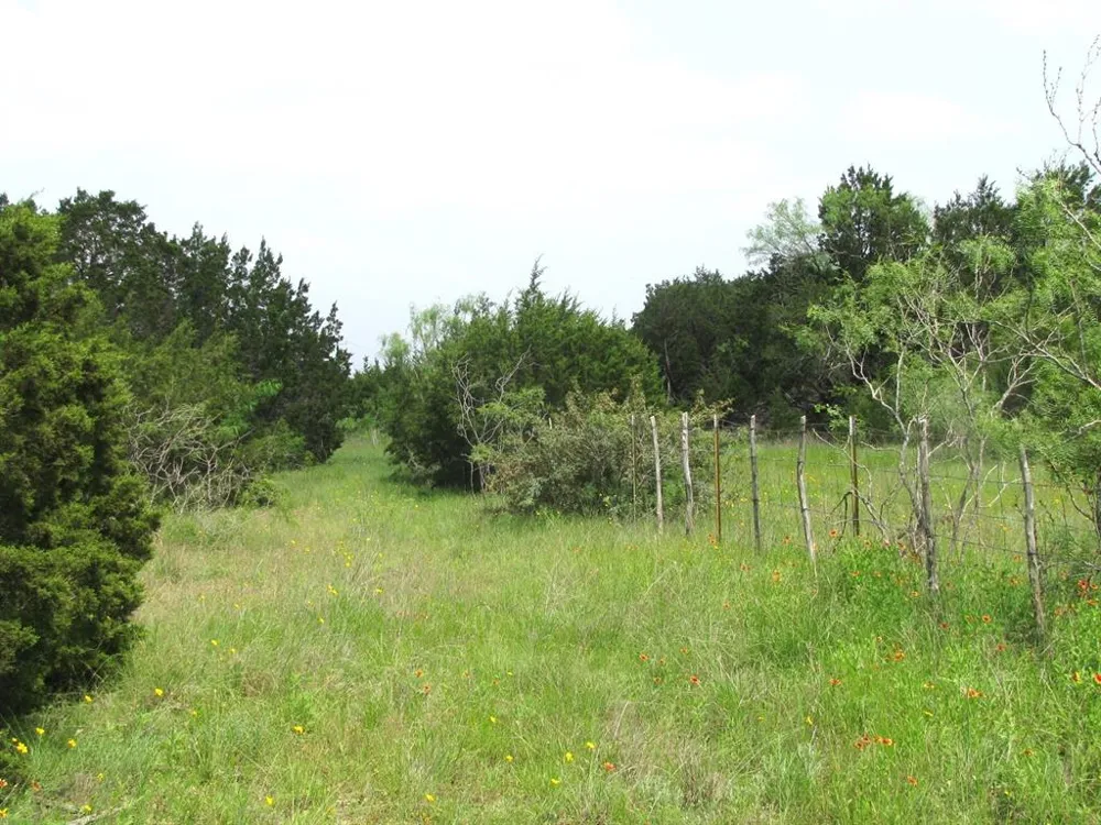 PR 42107 Evant, TX 76525