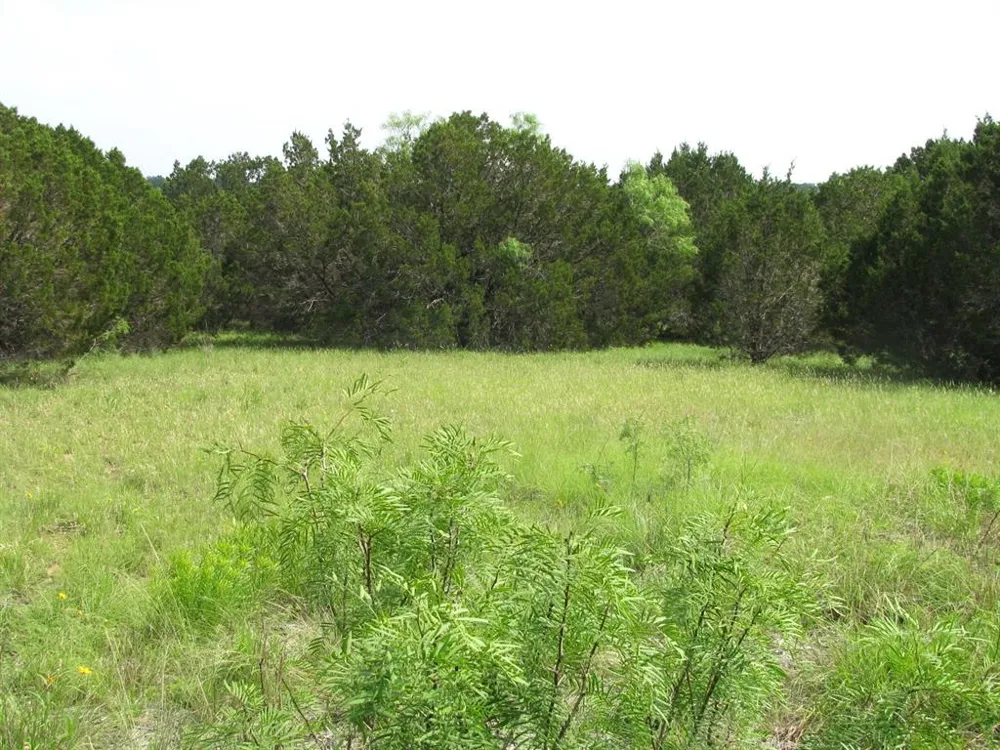 PR 42107 Evant, TX 76525
