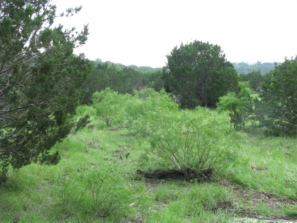 PR 42107 Evant, TX 76525
