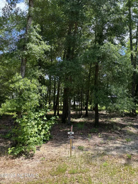 3718 Barnesmore Drive