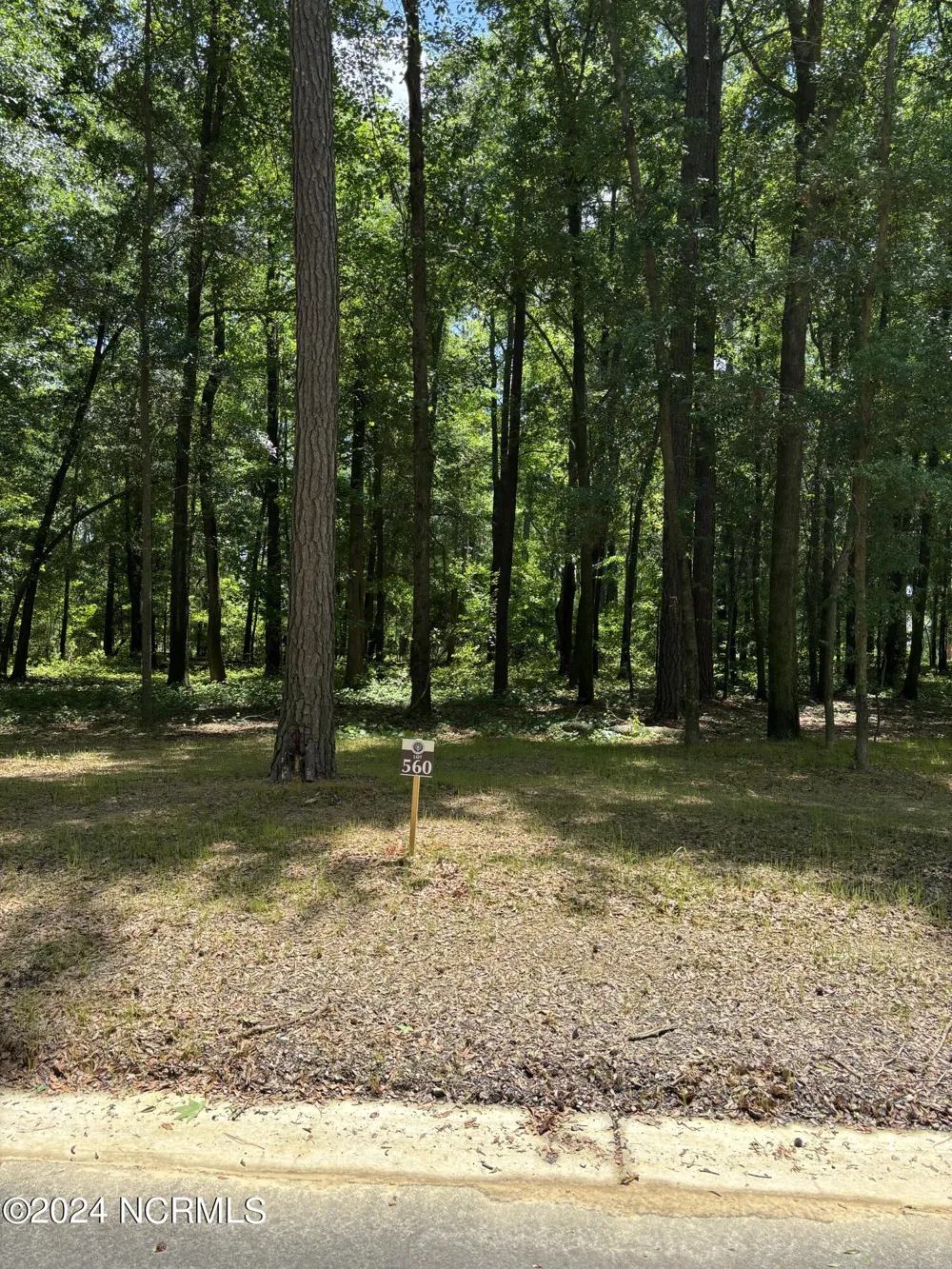 410 Old Forest Drive Castle Hayne, NC 28429