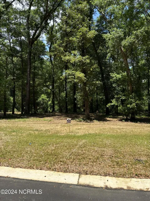 409 Old Forest Drive