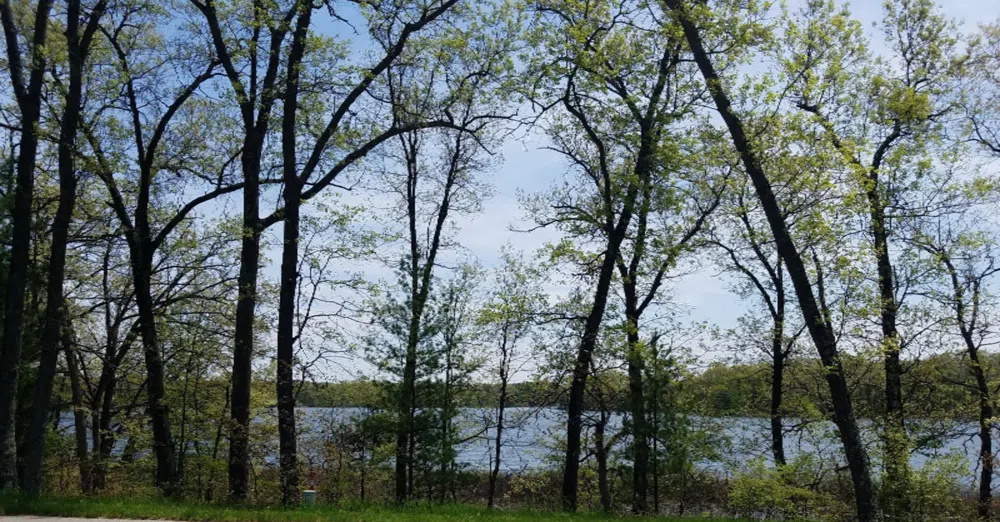 7901 S Potawatomi #56 Newaygo, MI 49337