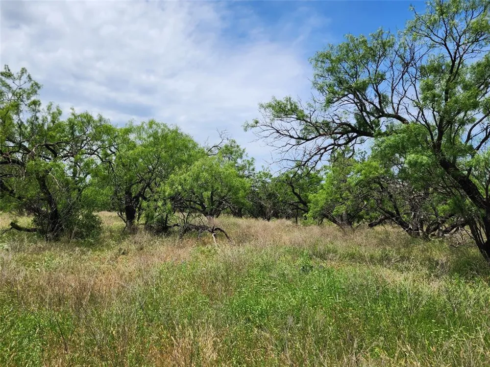 County Road 125 Cisco, TX 76437