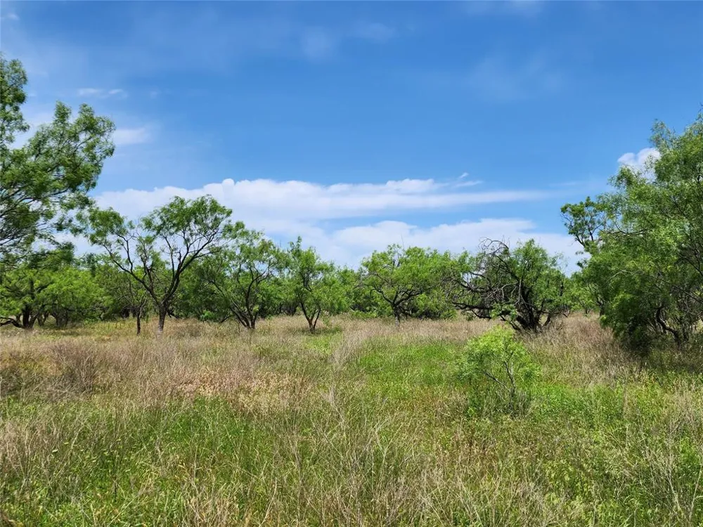 County Road 125 Cisco, TX 76437