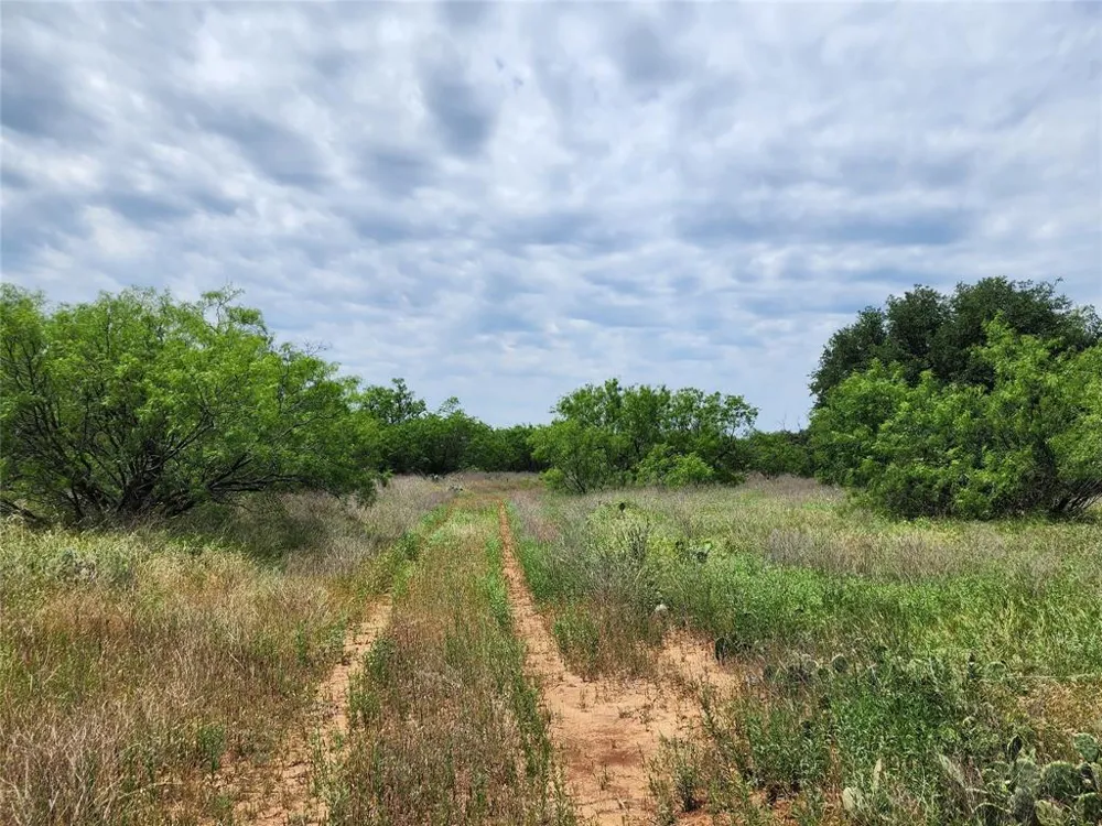 County Road 125 Cisco, TX 76437