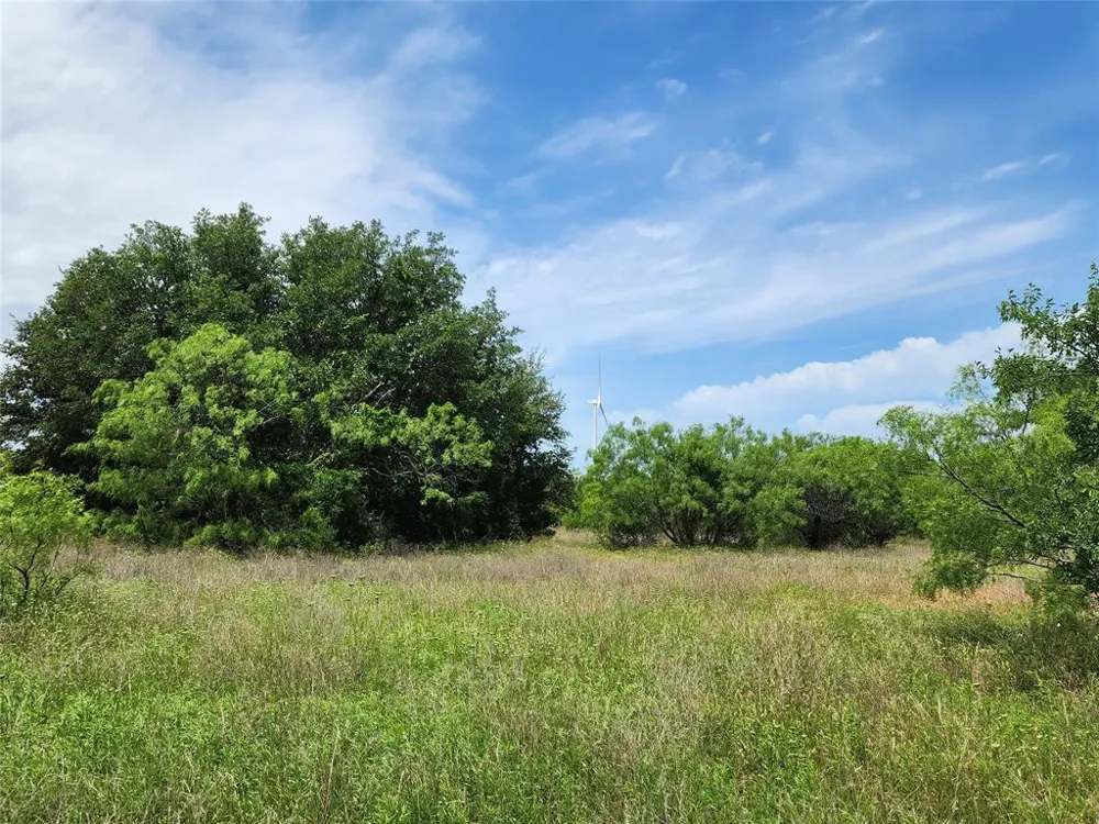 County Road 125 Cisco, TX 76437