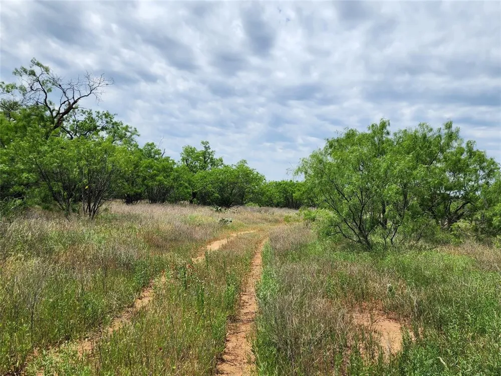 County Road 125 Cisco, TX 76437