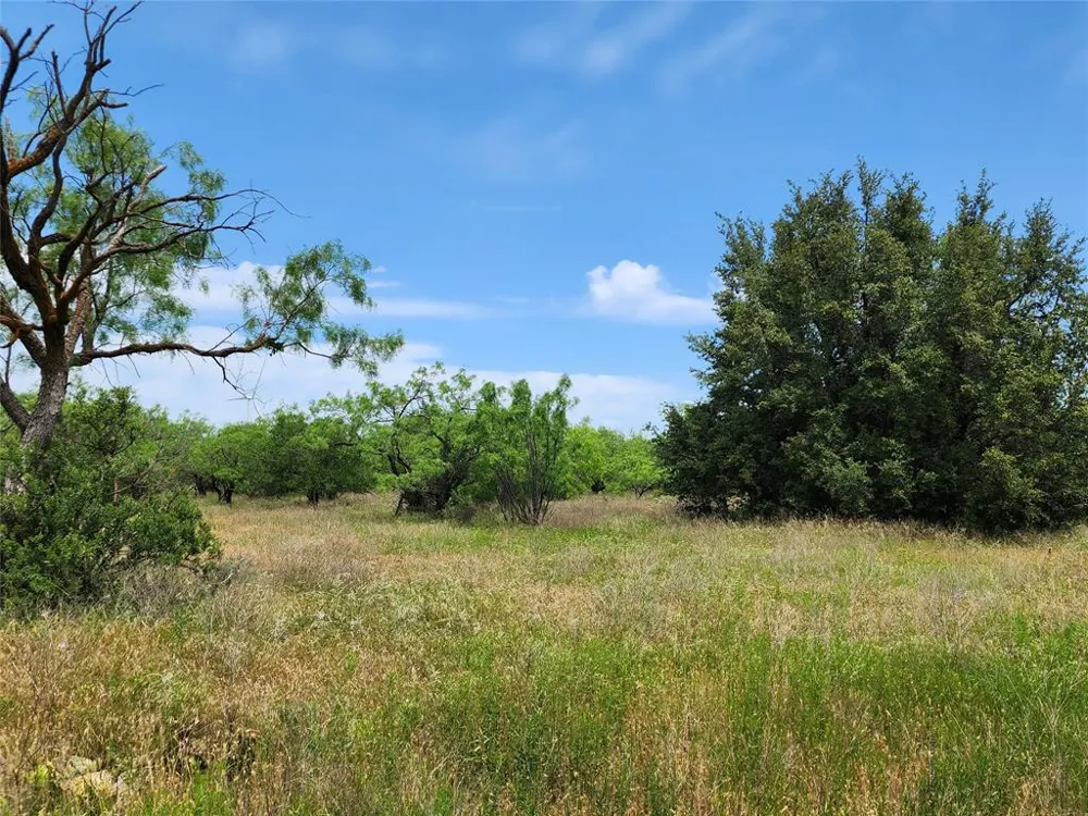 County Road 125 Cisco, TX 76437