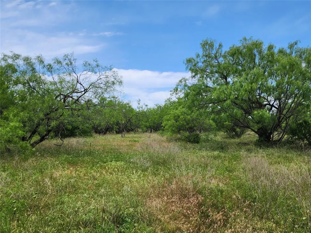 County Road 125 Cisco, TX 76437