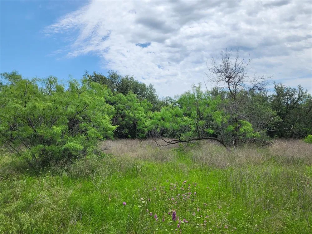 County Road 125 Cisco, TX 76437