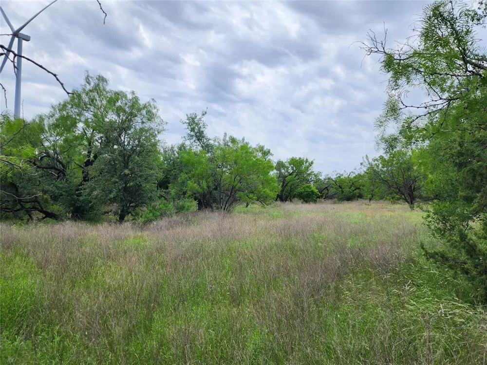 County Road 125 Cisco, TX 76437