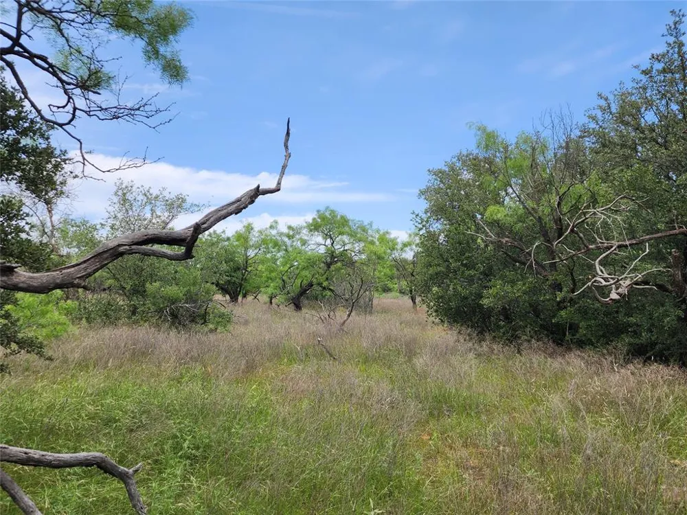 County Road 125 Cisco, TX 76437