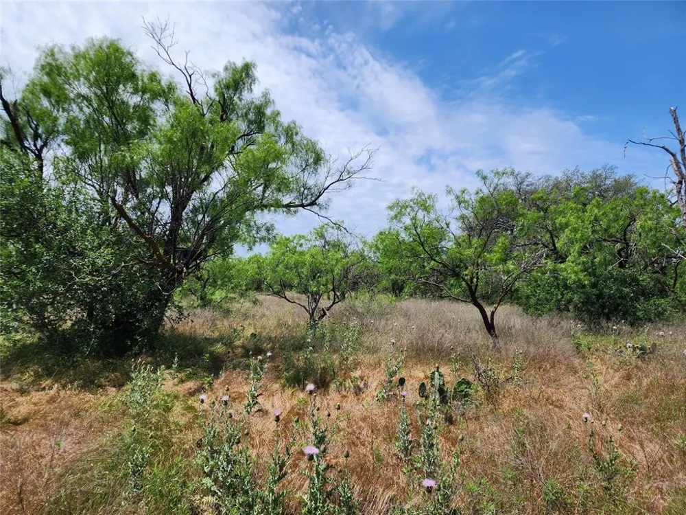 County Road 125 Cisco, TX 76437