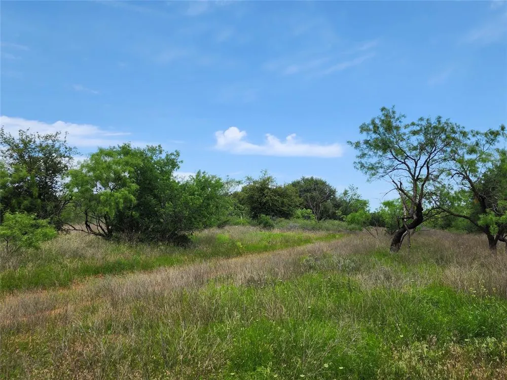 County Road 125 Cisco, TX 76437