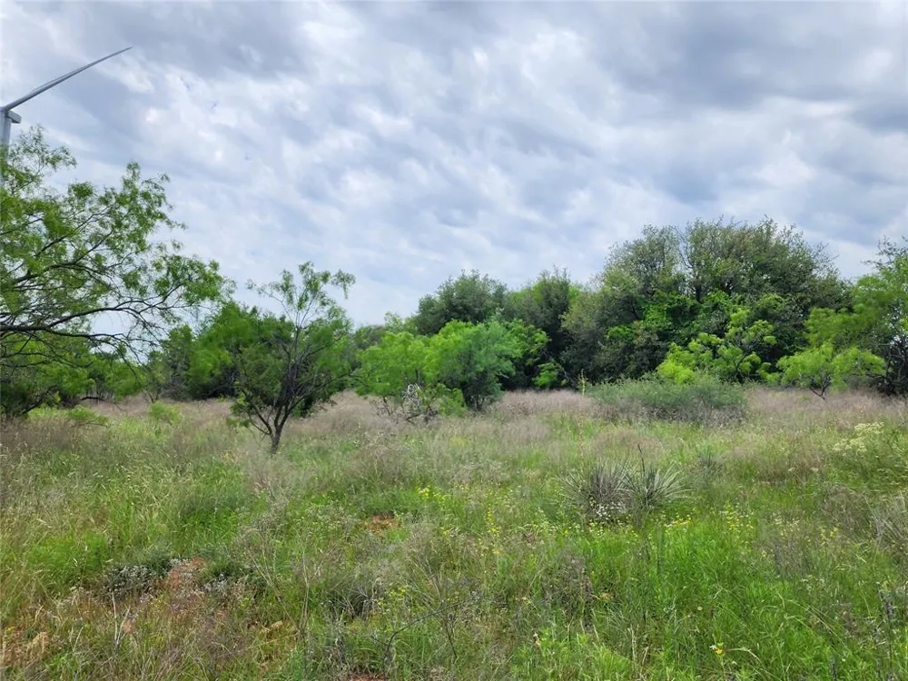 County Road 125 Cisco, TX 76437