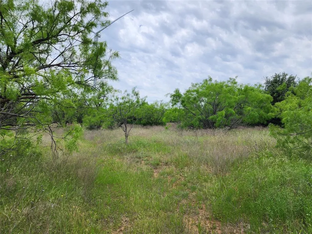County Road 125 Cisco, TX 76437