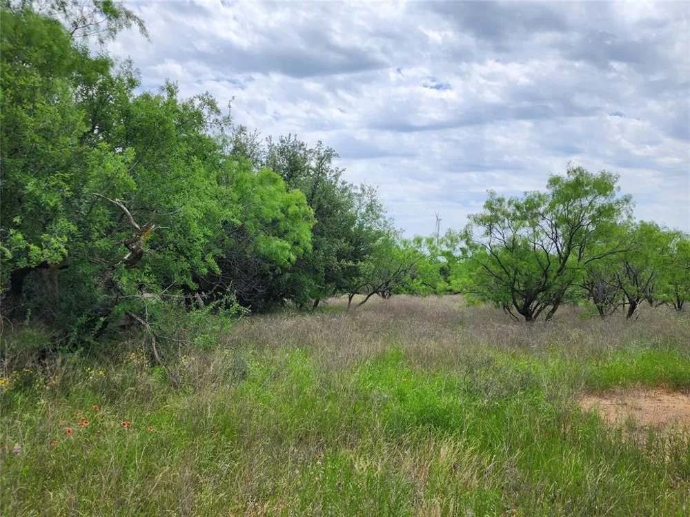 County Road 125 Cisco, TX 76437