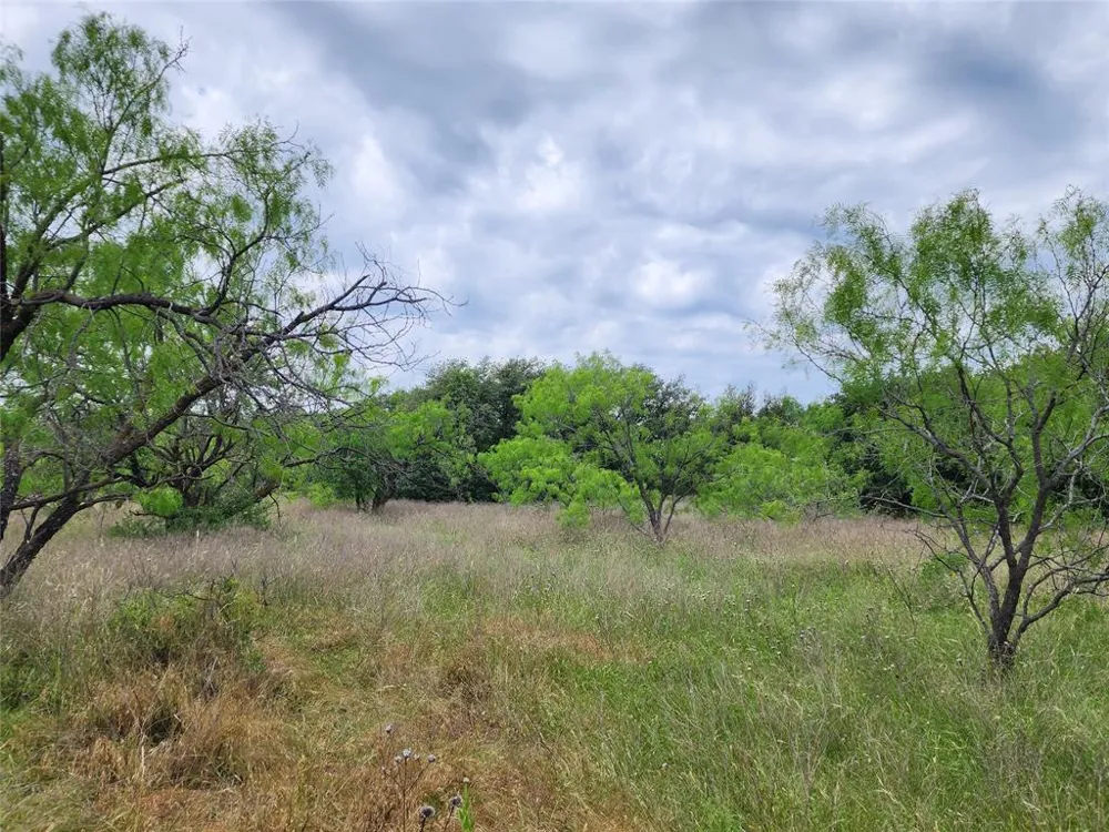 County Road 125 Cisco, TX 76437