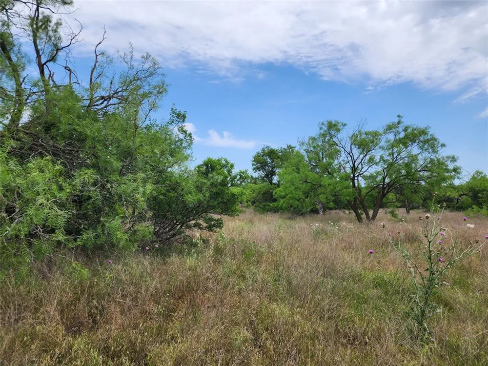 County Road 125 Cisco, TX 76437
